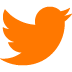 twitter icon in orange